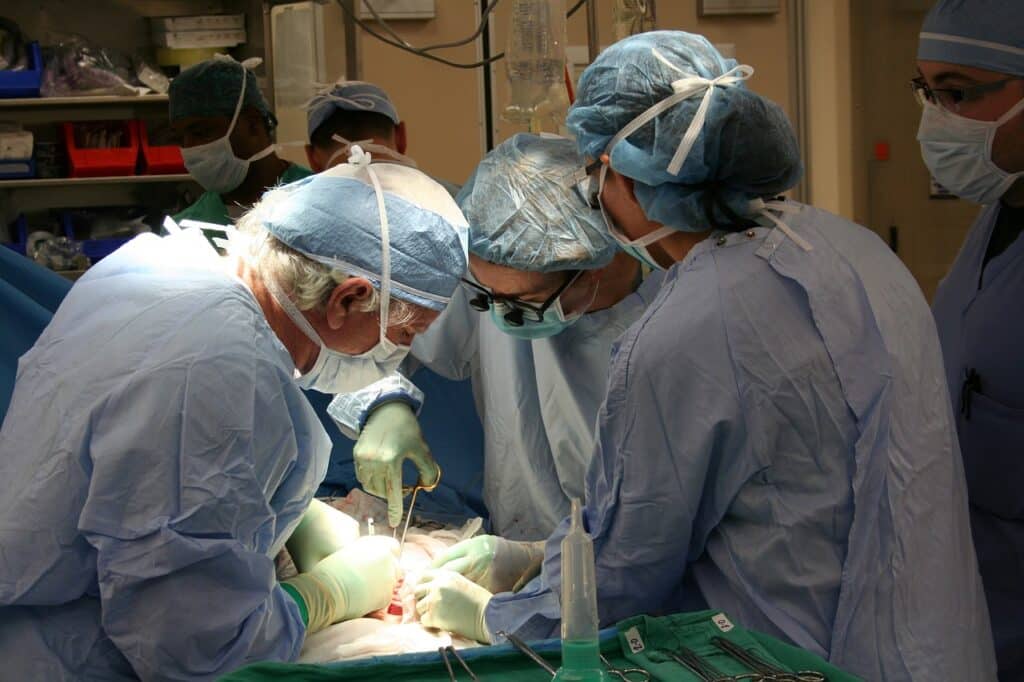 Plastic Surgeon Selection