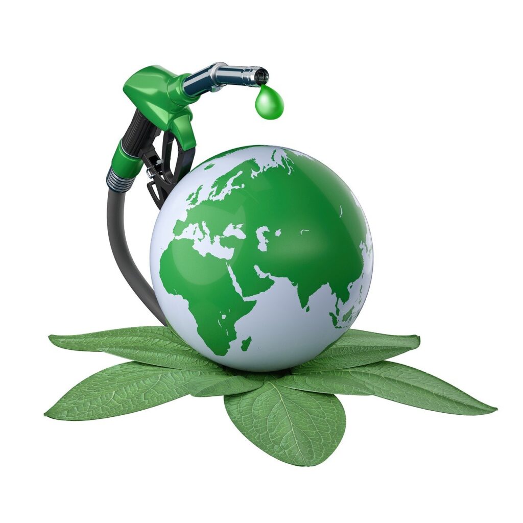 Sustainable Cosmetic Choices Sustainable Cosmetic Choices
