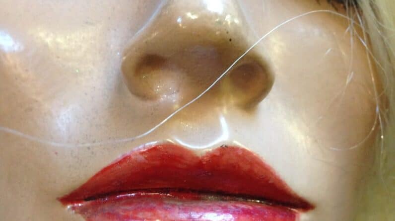 Photo "What is the Opposite of Cosmetic Surgery?"