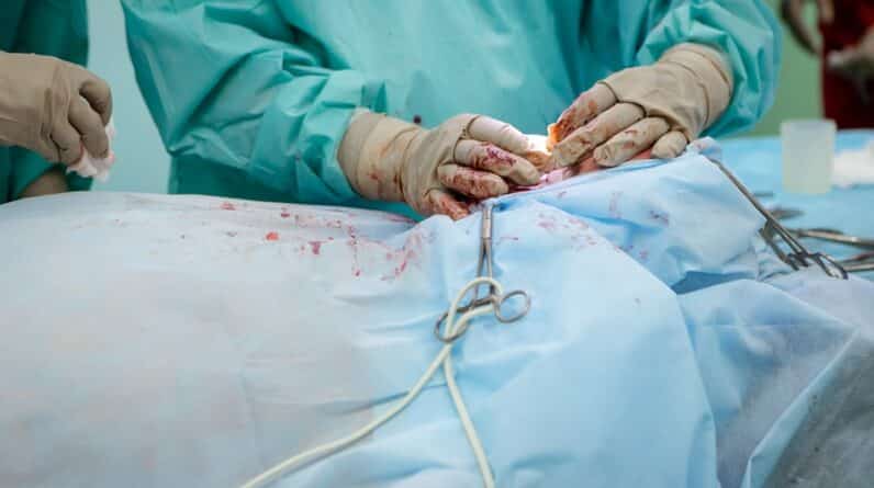 Photo Wound Reconstruction Procedure