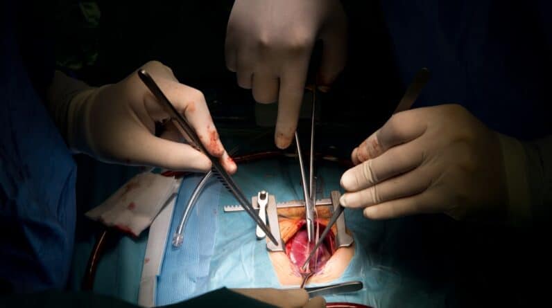 Photo Surgical tools