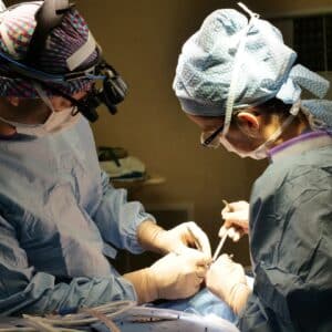 Photo Plastic Cosmetic Surgeon