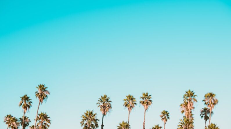 Photo Plastic Surgery Chandler Az