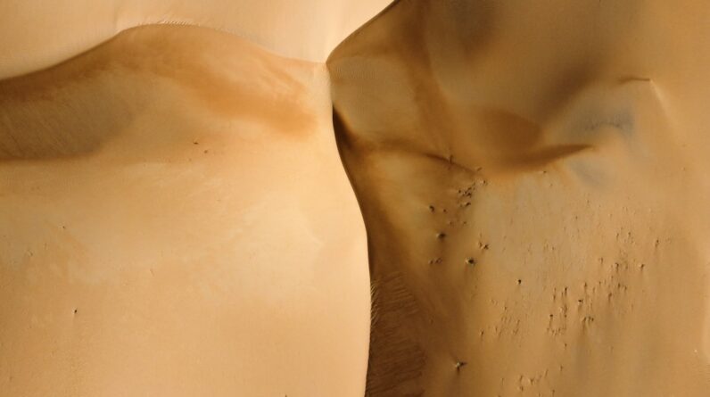Photo Body Contouring Plastic Surgeon