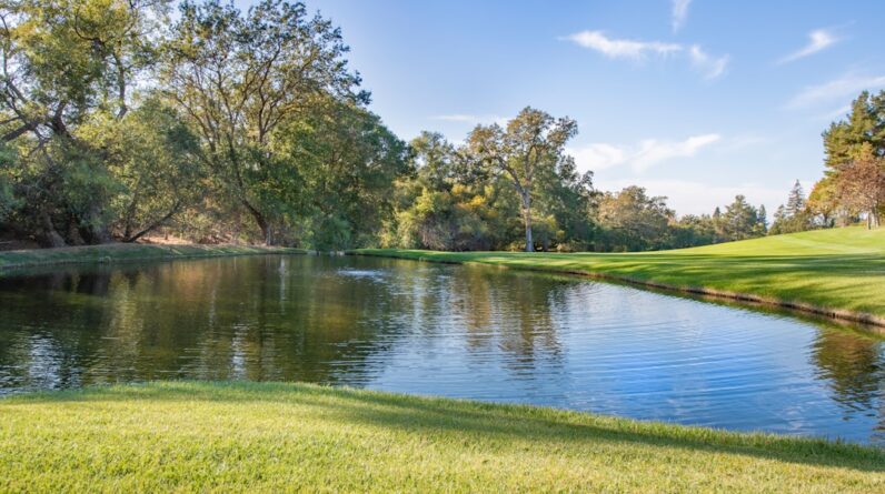 Photo Body Contouring Plastic Surgery Allen Texas