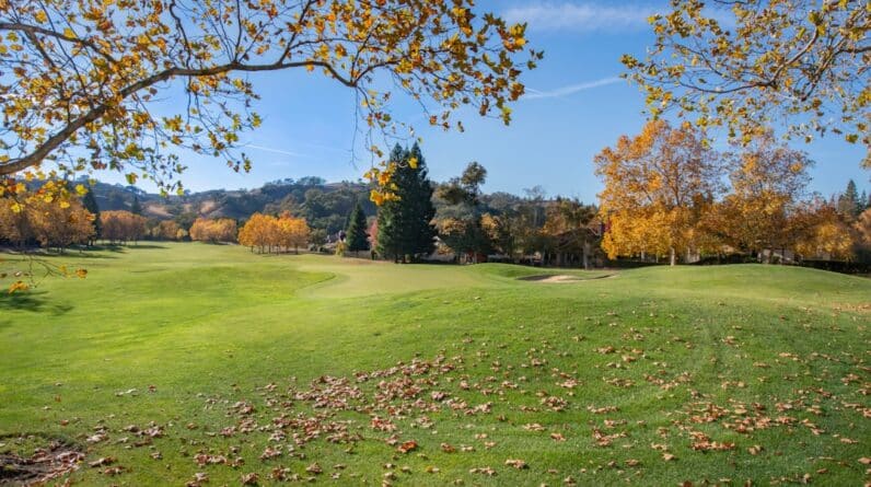 Photo Plastic Surgery Consultation Allen Texas