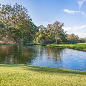 Photo Plastic Surgeon